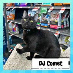Photo of DJ Comet