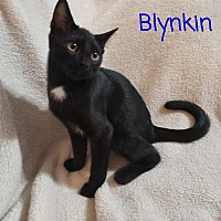 Photo of Blynken