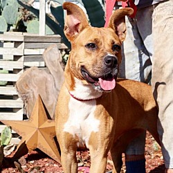 Thumbnail photo of Gracie Belle JuM* #3