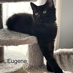 Thumbnail photo of Eugene #2