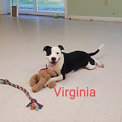 Thumbnail photo of Virginia - I'M SPONSORED!!! #2