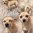 Charlie