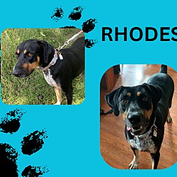 Photo of Rhodes