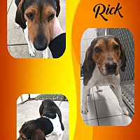 Photo of Slick Rick