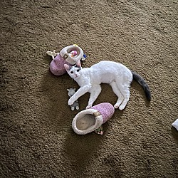 Photo of Little Bit