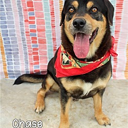 Photo of Chase