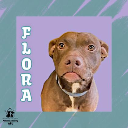 Photo of Flora
