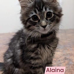 Photo of Alaina