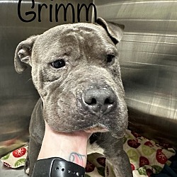 Photo of Grimm