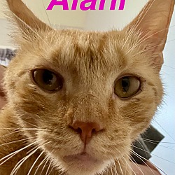 Thumbnail photo of Alani #1