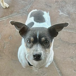 Photo of Cheddar