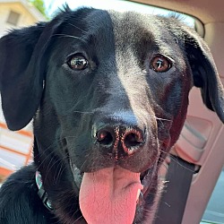 Photo of Mary jane