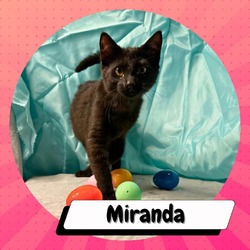 Thumbnail photo of Miranda Leevald #2