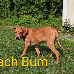 Thumbnail photo of Beach Bum Hoboken 3 Talbot #2