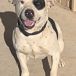 Photo of Vince