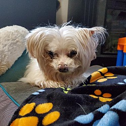 Photo of Sadie - Kirby's GF