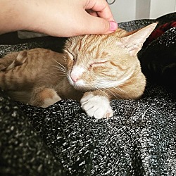Photo of Latte