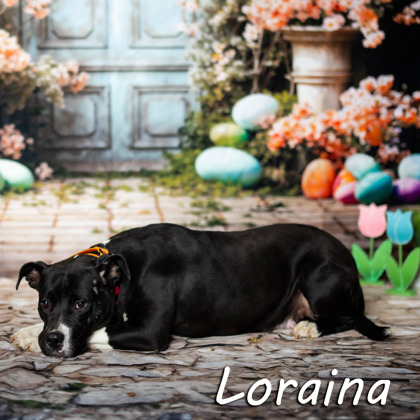 Thumbnail photo of Loraina* #2