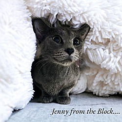 Thumbnail photo of Jenny From The Block 4745 #2