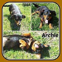 Photo of ARCHIE