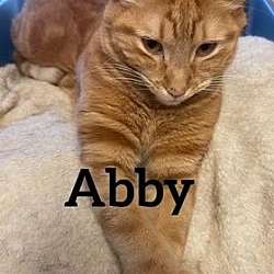 Photo of Abbey