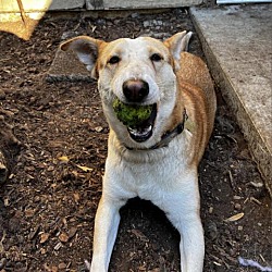Thumbnail photo of TUCK #3