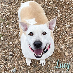 Photo of LUCY