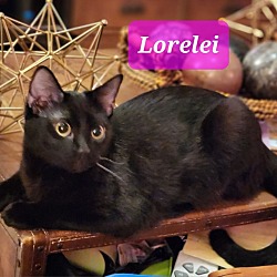 Photo of Loralei