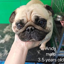 Thumbnail photo of Andy #2