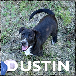 Photo of Dustin - see video!