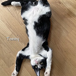 Photo of Tommy