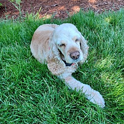 Photo of Sadie