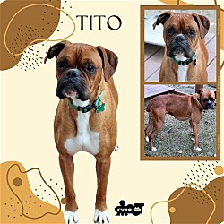 Photo of Tito (Ritzy)