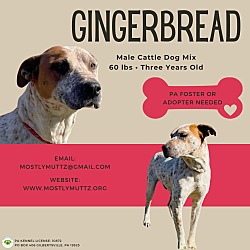 Thumbnail photo of Gingerbread #1