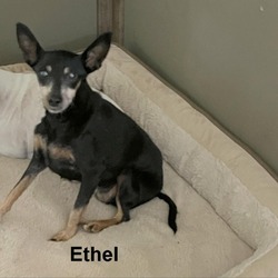 Thumbnail photo of Ethel SCP #3