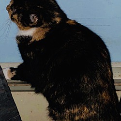Thumbnail photo of Snickers #2