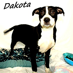 Thumbnail photo of Dakota #1