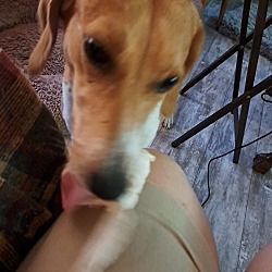 Photo of Lucy Gurl
