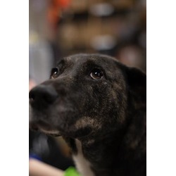 Photo of BROOKE