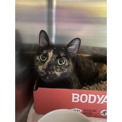 Photo of RUBY