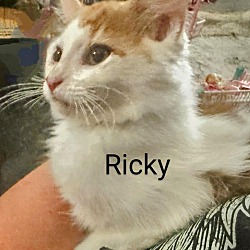 Thumbnail photo of Ricky #2