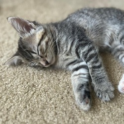 Thumbnail photo of Meredith #4