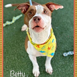 Thumbnail photo of BETTY - see video #4