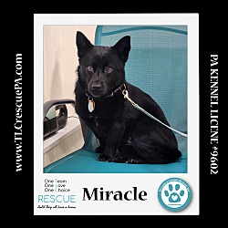 Thumbnail photo of Miracle 040624 #3