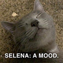 Photo of Selena