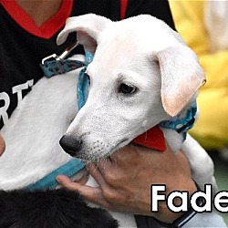 Thumbnail photo of Fadel from Taiwan #4