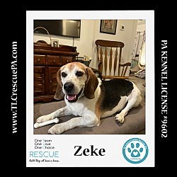 Photo of Zeke 022824