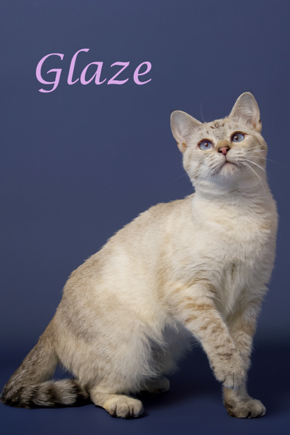 Thumbnail photo of Glaze #2