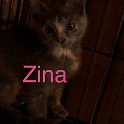 Photo of Zina