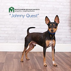 Photo of Johnny Quest